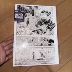 ONE PIECE BASE SHOP ALL PAGES 도플라밍고