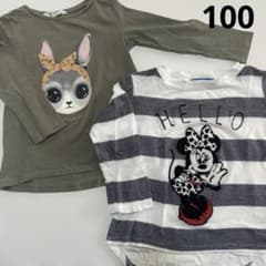 H&M ライトオン　うさぎ　ミニー　長袖　カットソー 2枚　セット 100