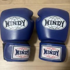 WINDY ボクシンググローブ BGVH 10oz ブルー - メルカリ