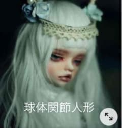 Bjd 슬리피 아이 페이스만의 가격