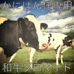 かにぱん様専用のサムネイル