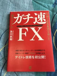 ガチ速FX 27分で256万を稼いだ"鬼デイトレ"のサムネイル