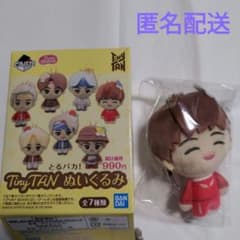 잡는 파카! TinyTAN 봉제인형 호비 j-hope 호석