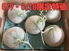 本日1箱限定特価】北海道産夕張メロン個選品5玉8kg箱 1玉1.6kg前後 