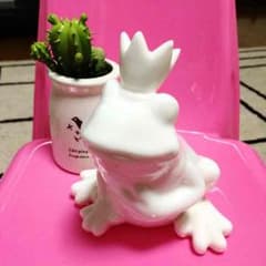 カエルの王様のサムネイル