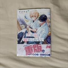 恋の弦は離れられない すけやま BL漫画のサムネイル