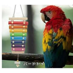 バードトイ 吊り下げ 鉄琴 小鳥 おもちゃ オウム インコ マメルリハ