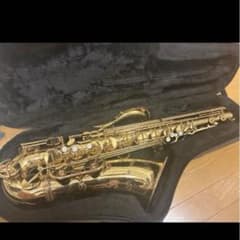 YANAGISAWA t900 テナーサックス ケース付き - メルカリ