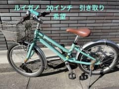 LOUIS GARNEAU 子供用自転車 20インチ ミントグリーン - メルカリ