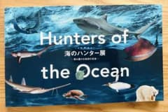 Hunters of the Ocean　海のハンター展　国立科学博物館　図録のサムネイル