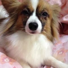 フリマ！さま専用のサムネイル