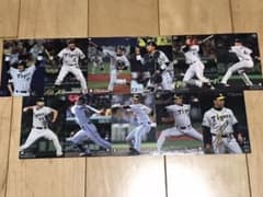 プロ野球チップスカード 阪神タイガース 2016・2017年版 11枚のサムネイル