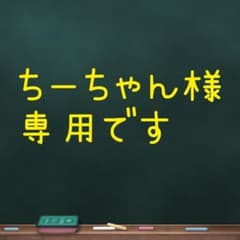 【ちーちゃん様専用です】セリーヌ　チェーンウォレット　正規品　美品のサムネイル