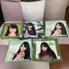 AKB48 峯岸みなみ 推しタオル 5枚セットのサムネイル