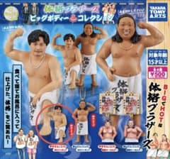 体格ブラザーズ ビックボディコレクション　平子さんBIGフィギュアのサムネイル