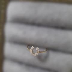 お値下げK18 ホースシュー型ダイヤモンドリングピンキー K18 ホースシュー型ダイヤモンドリングピンキー - メルカリ