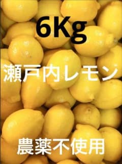 Ⅰ国産瀬戸内レモン6Kg Ⅰ国産瀬戸内レモン6Kg - メルカリ