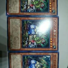 すいてんかさん専用ティオの蟲惑魔三枚のサムネイル