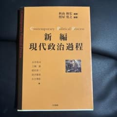 新編 現代政治過程のサムネイル