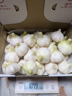 自然微生物栽培　にんにく　Sサイズ　1ｋｇのサムネイル