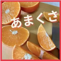 糸島産　食べごろ天草3キロのサムネイル