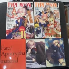 타입 문 에이스 11·12 부록 첨부 fate apocrypha 설정 자료집