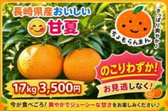 長崎県産 甘夏 17kg 3,500円　送料込みのサムネイル