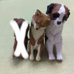 いっしょにねんね　犬のサムネイル