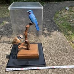 鳥の置物　ホオジロ　オオルリ　リアル鳥 鳥の置物 ホオジロ オオルリ リアル鳥 - メルカリ