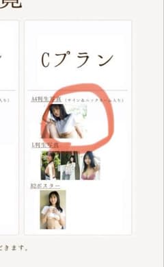【直筆サイン入り】溝端葵 写真集 オンラインサイン会 限定特典 特大生写真のサムネイル