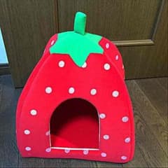ペットのお家いちごのサムネイル