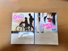 小説　野いちごのサムネイル