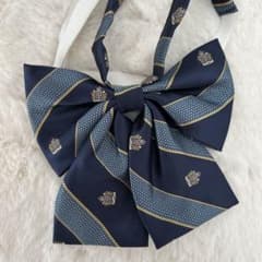 制服 リボンのサムネイル