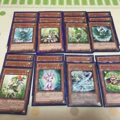 ガスタ デッキ   エクストラ付のサムネイル