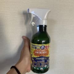 ヒバガードのサムネイル