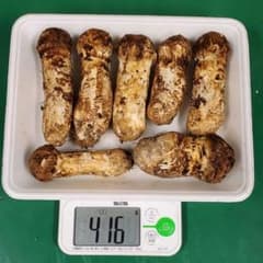 最終値下げ　岩手県産松茸　送料込みのサムネイル