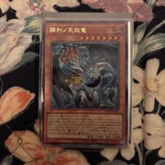 調和ノ天球竜 フィドラリウス ハルモニア 1枚 - メルカリ