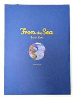 加藤泉 「From the Sea」 特装版 7インチレコード付 - メルカリ