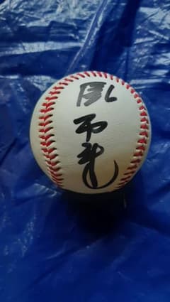 阪神 タイガース 掛布 雅之 #31 直筆 サイン ロゴ ボール - メルカリ