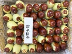 大粒なつめ 最後の中華大龍 クール便　長野市産　9/15朝採りのサムネイル