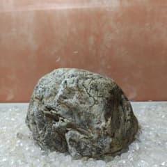 瀬田川石 天然石 鑑賞石 ウブ石 水石 景石 庭石 #172 - メルカリ