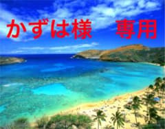 かずは様　専用のサムネイル