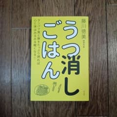 うつ消しごはん 藤川徳美著のサムネイル
