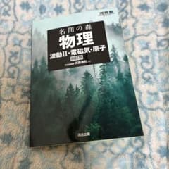 名問の森 物理 波動II・電磁気・原子 四訂版のサムネイル