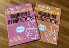 看護診断・計画BOOK２冊セットのサムネイル