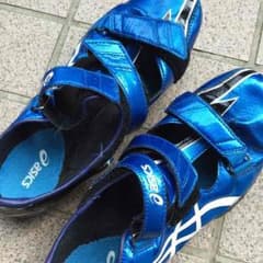 こうずけさま専用のサムネイル