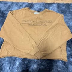 STR ブラウン クロップド丈長袖Tシャツのサムネイル