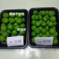 すだち　現品２キロ+おまけのサムネイル