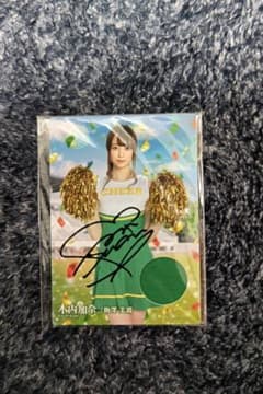 m81004590293_1.jpg?1691228955