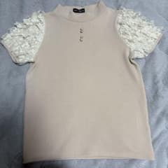 Désir et Raison レース袖 トップス ピンクベージュのサムネイル